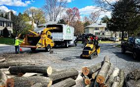  Aurora, IN Tree Removal and Landscaping Services Pros